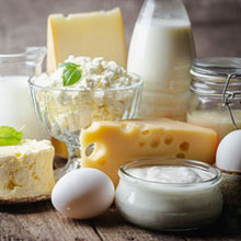 Industrial food processing equipment - dairy industry