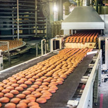 Industrial food processing equipment