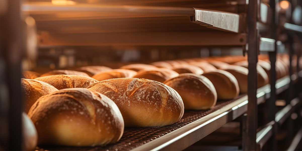 Row of Freshly Baked Bread rolling off production line in an Industrial Bakery -Sanitary Designed Equipment for Bakeries. Maximize Safety & Efficiency in Raw Ingredient Handling.