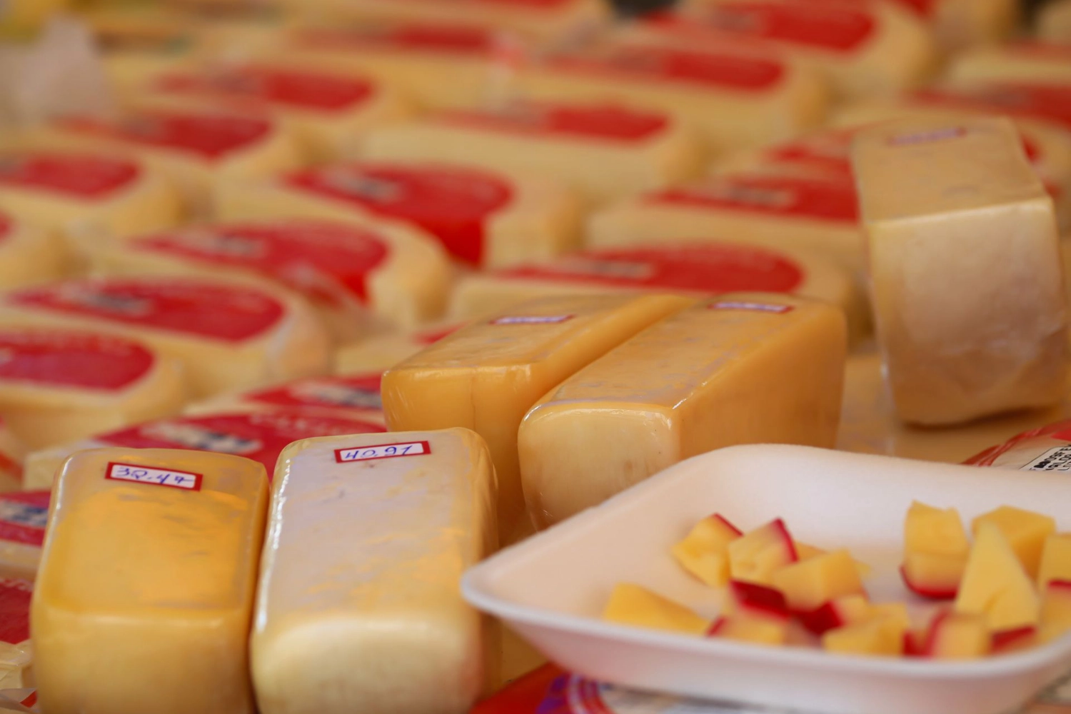 Blocks and cubes of cheese with red labels on display, representing dairy facility products and quality control in food processing