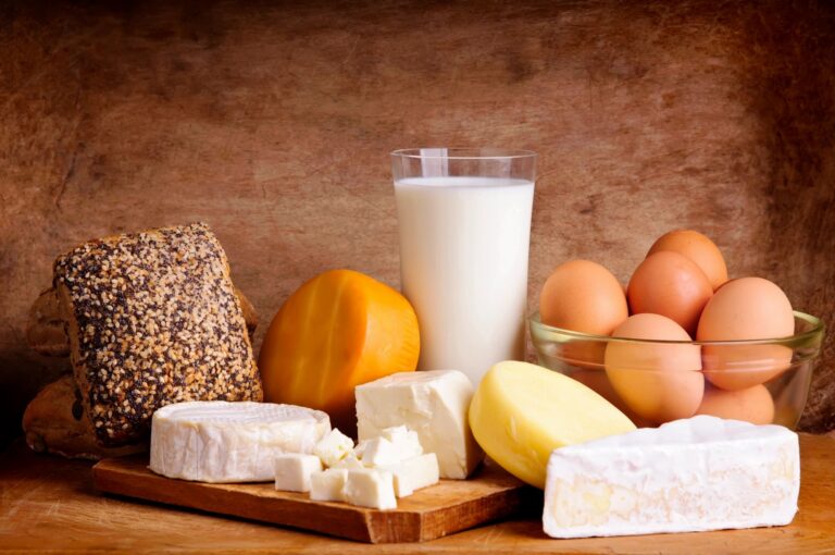 photo of various dairy products including cheese, milk and eggs. Wet Dust Collector Performance Article - HaFSBX Equipment