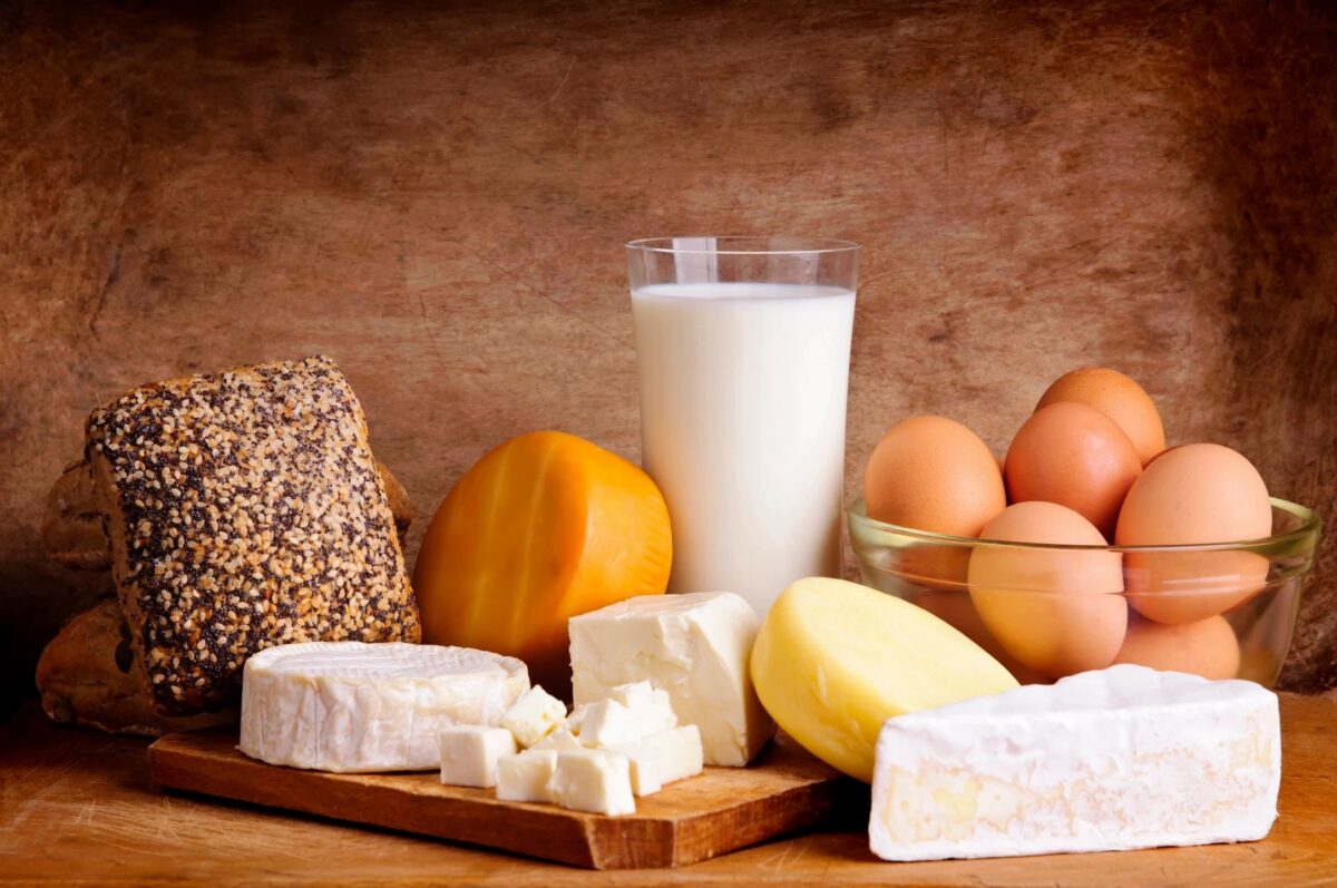 photo of various dairy products including cheese, milk and eggs. Wet Dust Collector Performance Article - HaFSBX Equipment